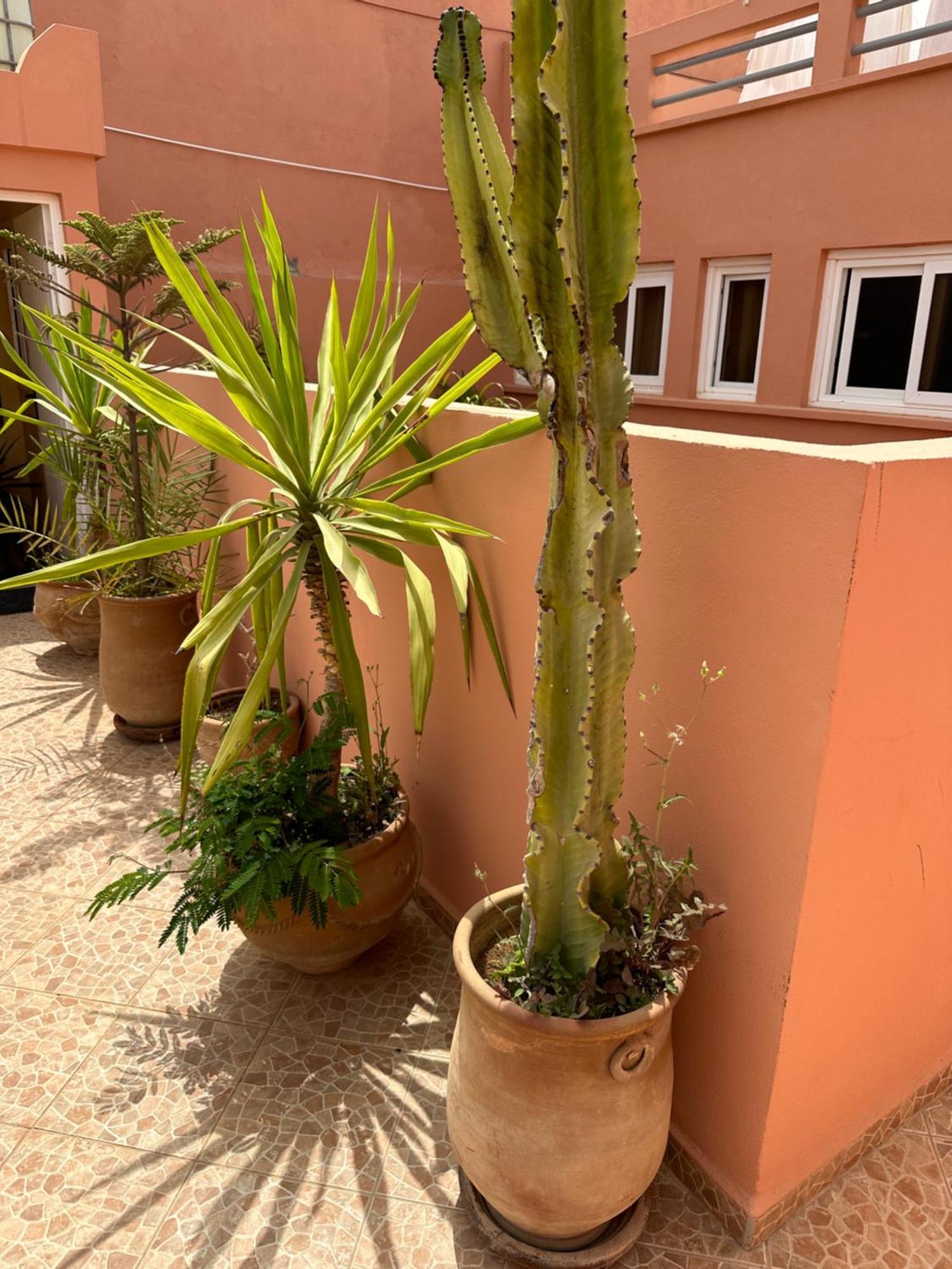 Europa Mirlef T Aventur Guest House Мирлефт Экстерьер фото